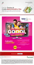 p_BANCO_VISA_MAR2015