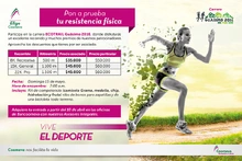 p_RYC_ECOTRAIL_ABR2016