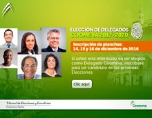 Emailing-Planchas_DIC2016