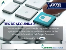 AMATE_ENERO1