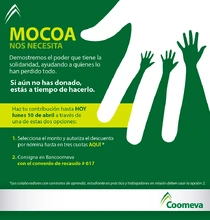 p_MUL_Mocoa_ABR2017-04
