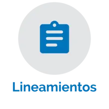 Lineamientos