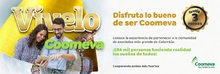 Vívelo Banners 1