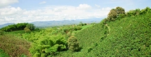 Coomeva Regional Eje Cafetero 25 a&ntilde;os de cooperaci&oacute;n y solidaridad