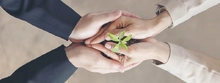 POR EL PROGRAMA MIPYME VERDE Fundaci&oacute;n Coomeva reconocida por su aporte al desarrollo sostenible
