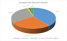 FIC 365-enero-Por Tipo de Inversion
