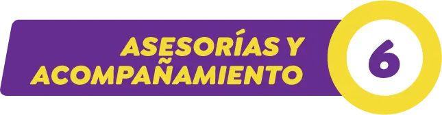 6. Asesorías y acompañamiento