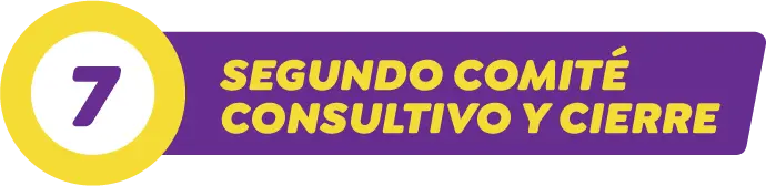 7. Segundo Comité Consultivo y cierre