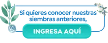 Si quieres conocer nuestras siembras anteriores, ingresa aqu&iacute;