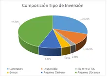 FIC 365-Por Tipo de Inversi&oacute;n