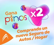 Pinoman&iacute;a Seguros