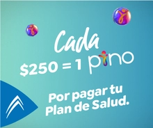 equivalencia pino mp