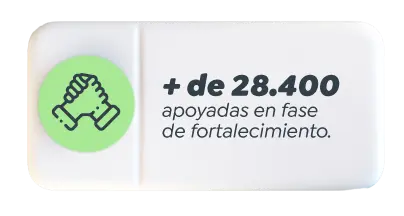 + de 28.400 empresas apoyadas en fase de fortalecimiento