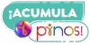 Acumula Pinos-1