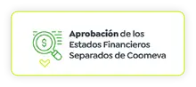 Aprobaci&oacute;n de los Estados financieros separados