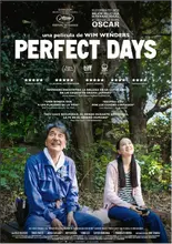 D&iacute;as perfectos