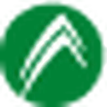 Pino