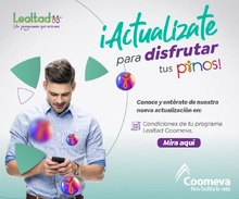 Banner mosaico actualizaci&oacute;n T&C Sep2024