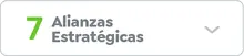 Alianzas Estrat&eacute;gicas