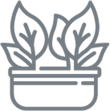 Plantas vivas