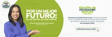 Habilidad elecciones