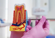 D&iacute;a del Endodoncista