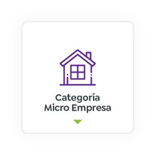 Categor&iacute;a Micro Empresa