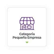 Categor&iacute;a Peque&ntilde;a Empresa