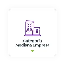 Categor&iacute;a Mediana Empresa