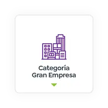 Categor&iacute;a Gran Empresa