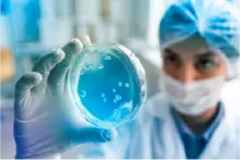 D&iacute;a del Bacteri&oacute;logo