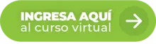 Ingresa aqu&iacute; al curso virtual