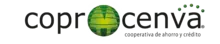 Logo 13