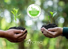 Regala &aacute;rnoles y act&uacute;a contra el cambio clim&aacute;tico
