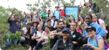 Cultura y voluntariado