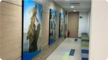 Calidad y oportunidad