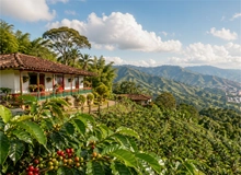30 a&ntilde;os Coomeva  Regional Eje Cafetero