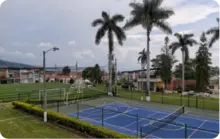 Palmas de Cootradecun 