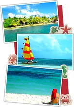 31986_imagen