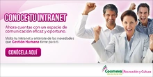 p_expectativaIntranet