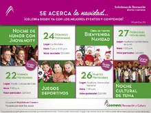 p_RYC_E_MANIZALES_NOV2013