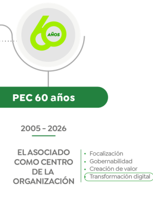 El asociado como centro de la organización